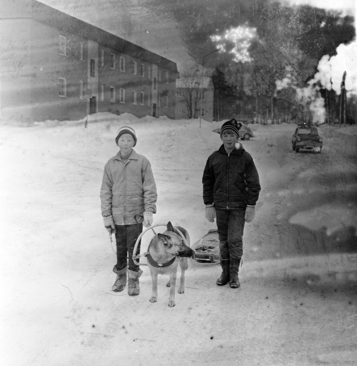 Arbrå,
Pojke med hund o pulka,
Februari 1968