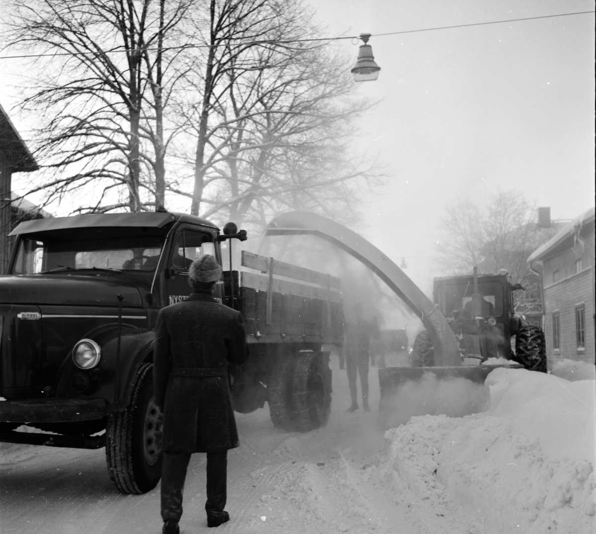 Snöslunga,
1965