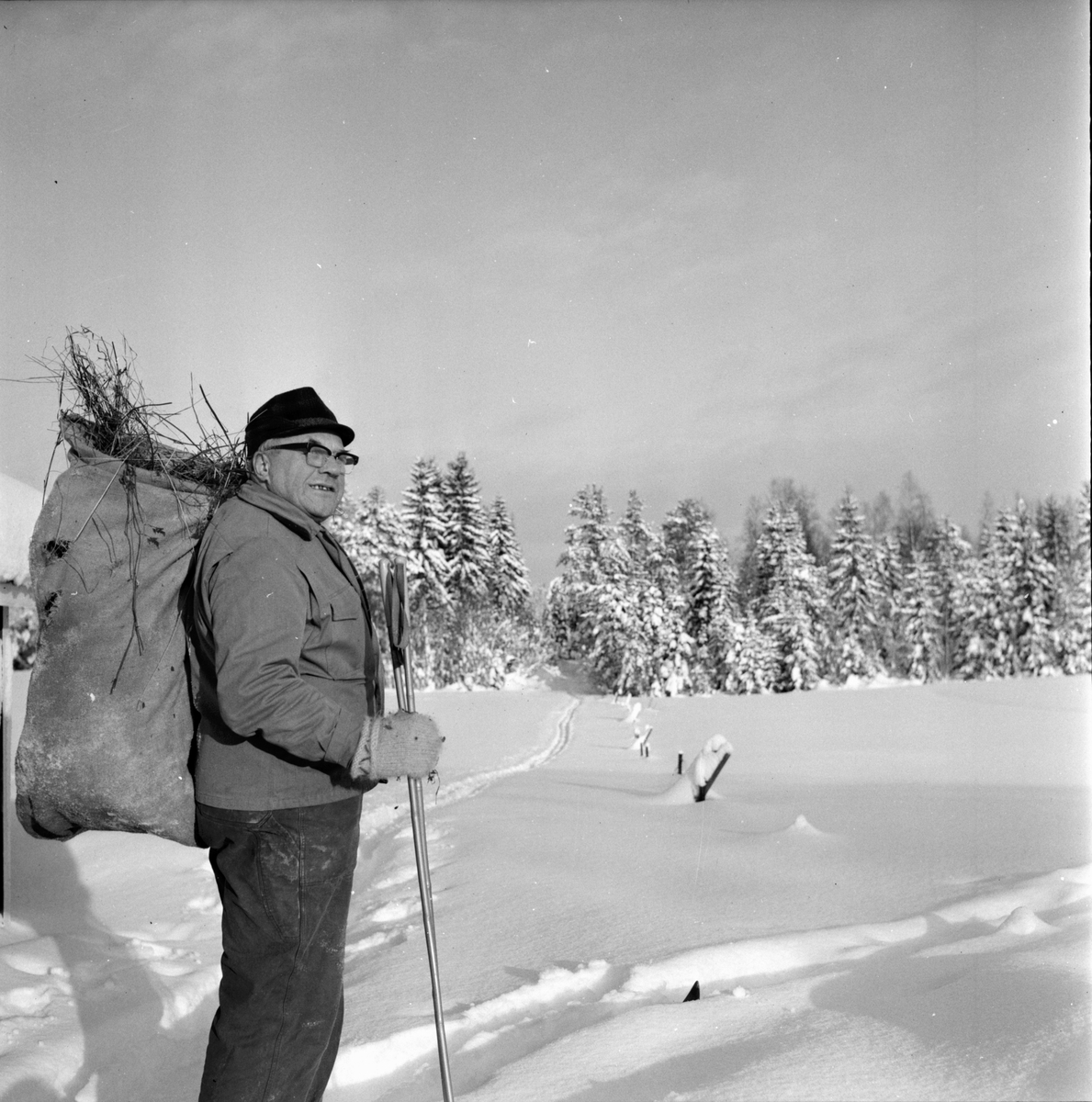 Rådjurshjälpen sjuk get. Växsjö
Einar Brungs Röste
7/2-1966