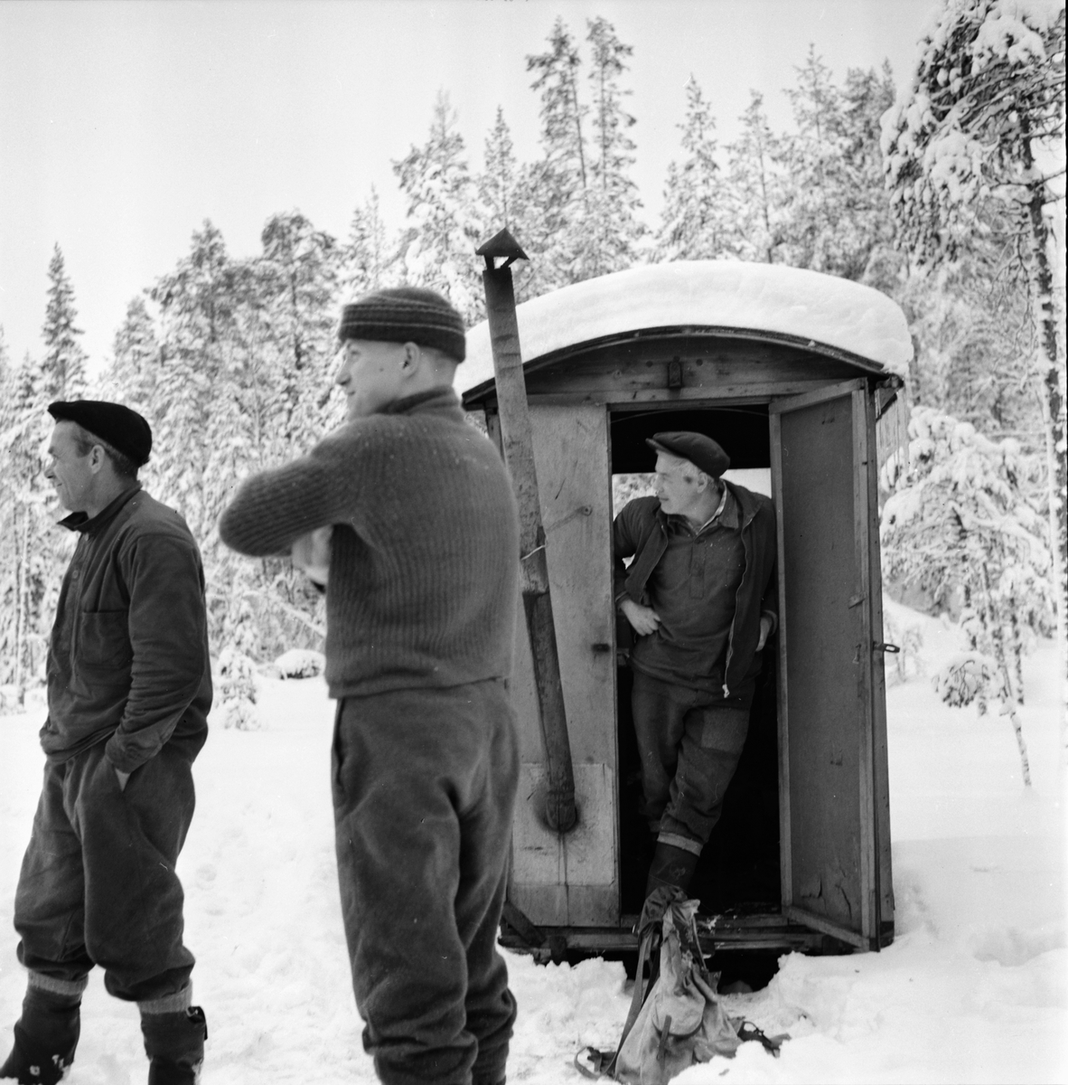 Skog. Skogsrepotage vid Sörbränningen
26/1-1965