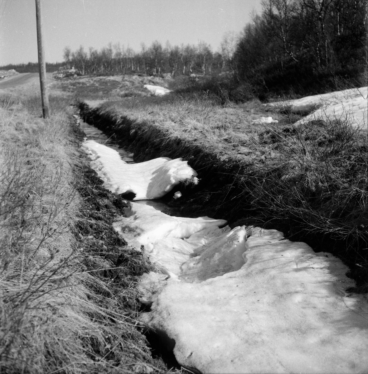Fjällfloden.
Maj-1960