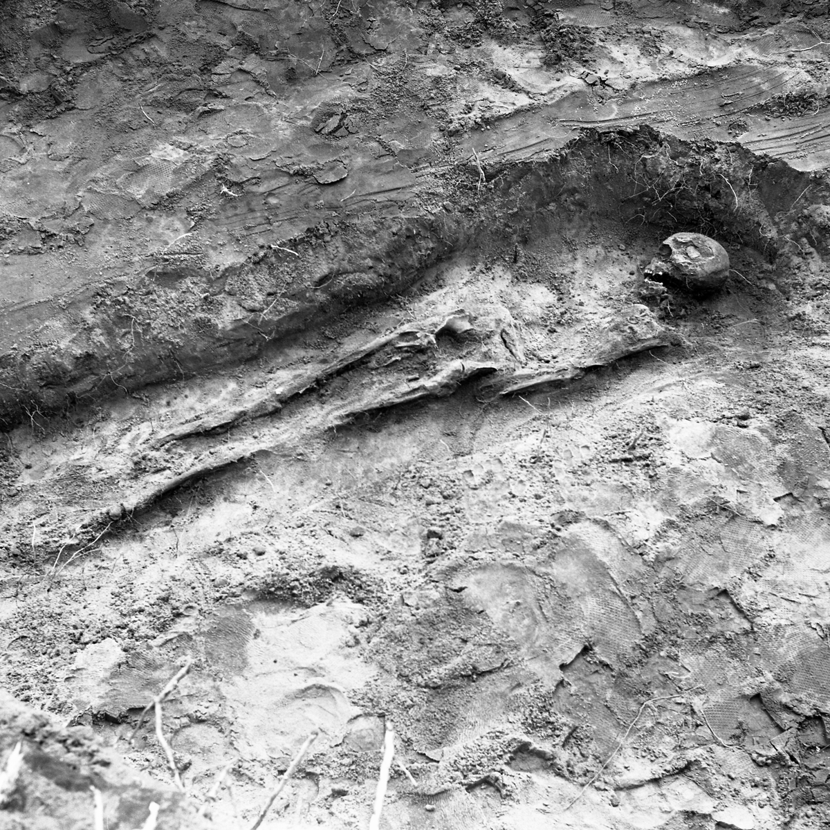 Kånna högar, undersökning 1964.04. Grav 279, skelettfynd.