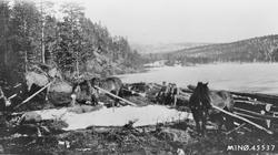 Tømmerlunning. Tømmeret var til bygging av tilbygg og scene 