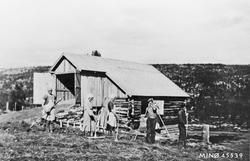 Slåttonn på setra. Klara Brænd, Sigrid Gran, Marie Kulstad, 