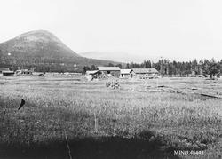 Gardsbruk, kulturlandskap, fjell