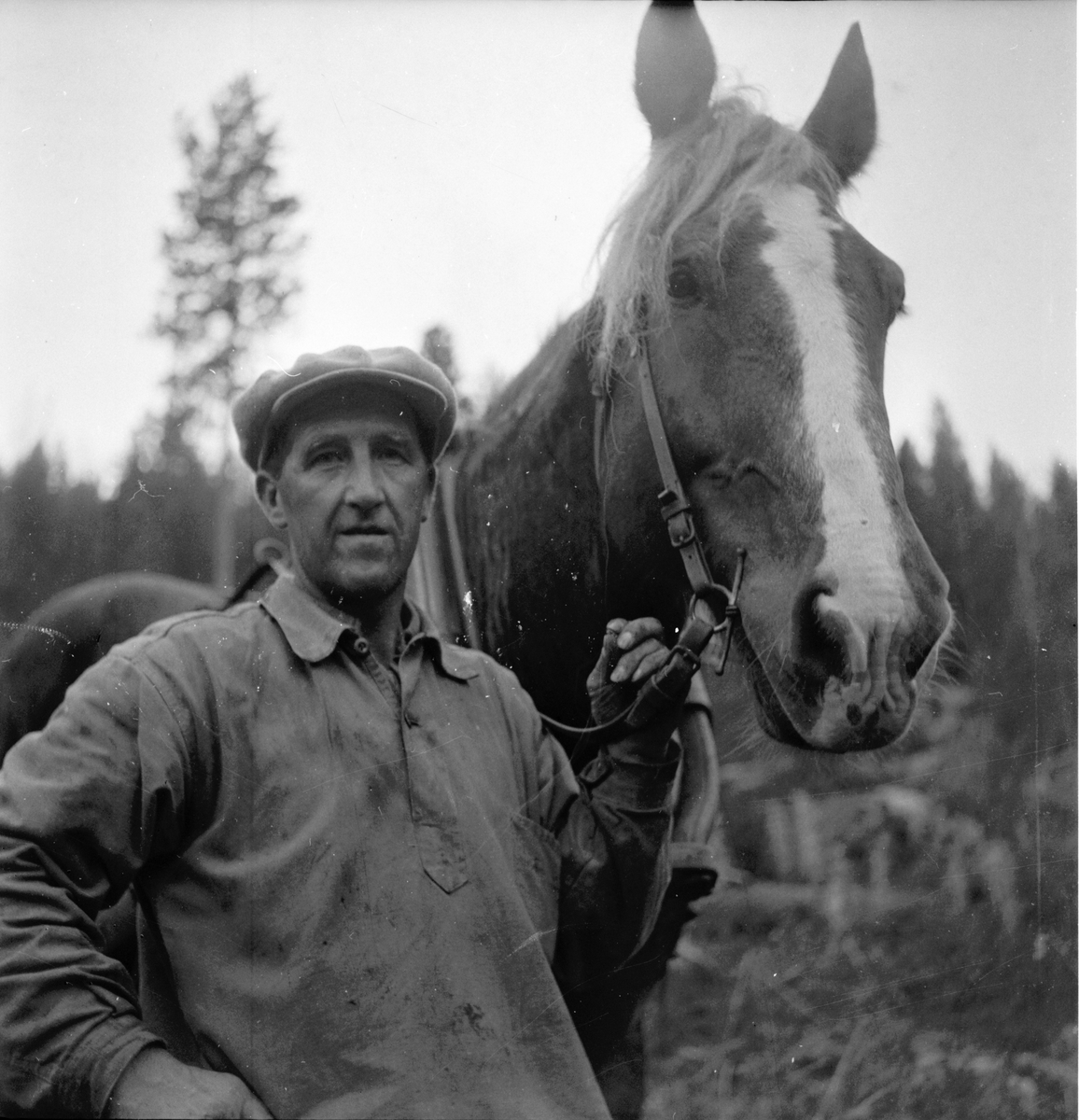 Johan Skoglund timmerkör Hallen.
Oktober 1953