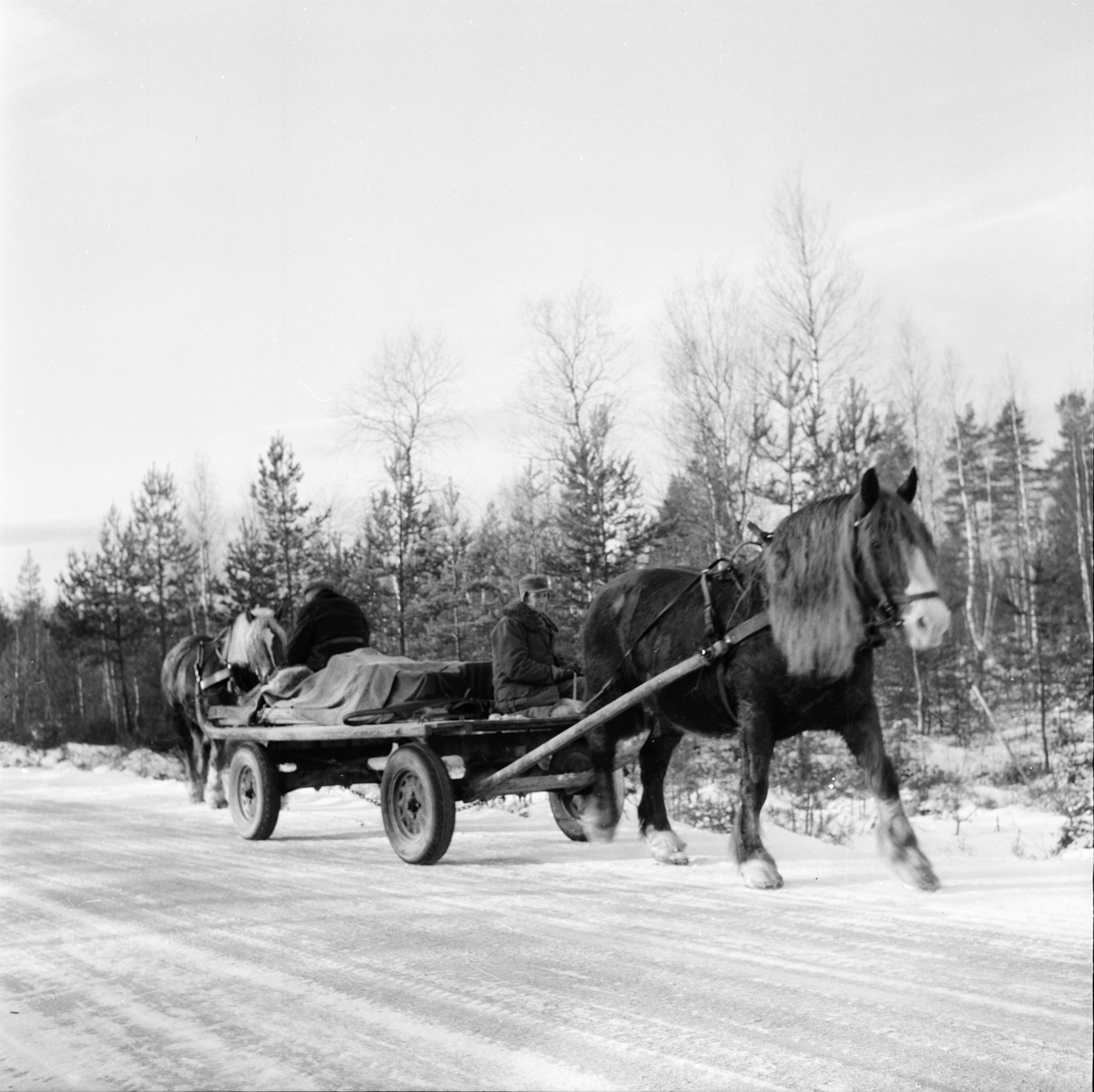 Skolbarn, affären, skogskörare i Skräddrabo.
18/1 1957
