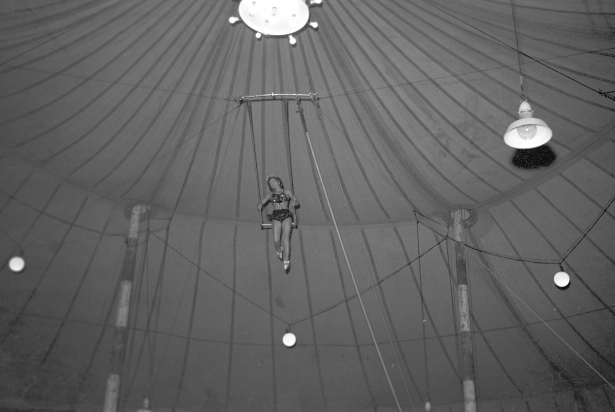 Altenburgs Cirkus 20 Juli 1945 - Länsmuseet Gävleborg / DigitaltMuseum