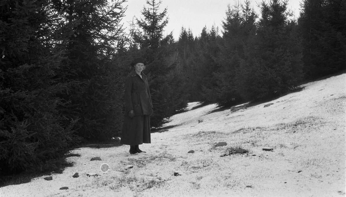 Karine Røisli (f. Pedersen/Gårderhagen).
Seks portretter med personen i forskjellige positurer, alle i skogsterreng og med snø på bakken.