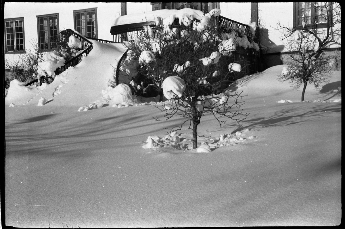 Vinterstemninger fra hage og gårdstun på Balke Vestre i Østre Toten. Serie på 8 bilder.