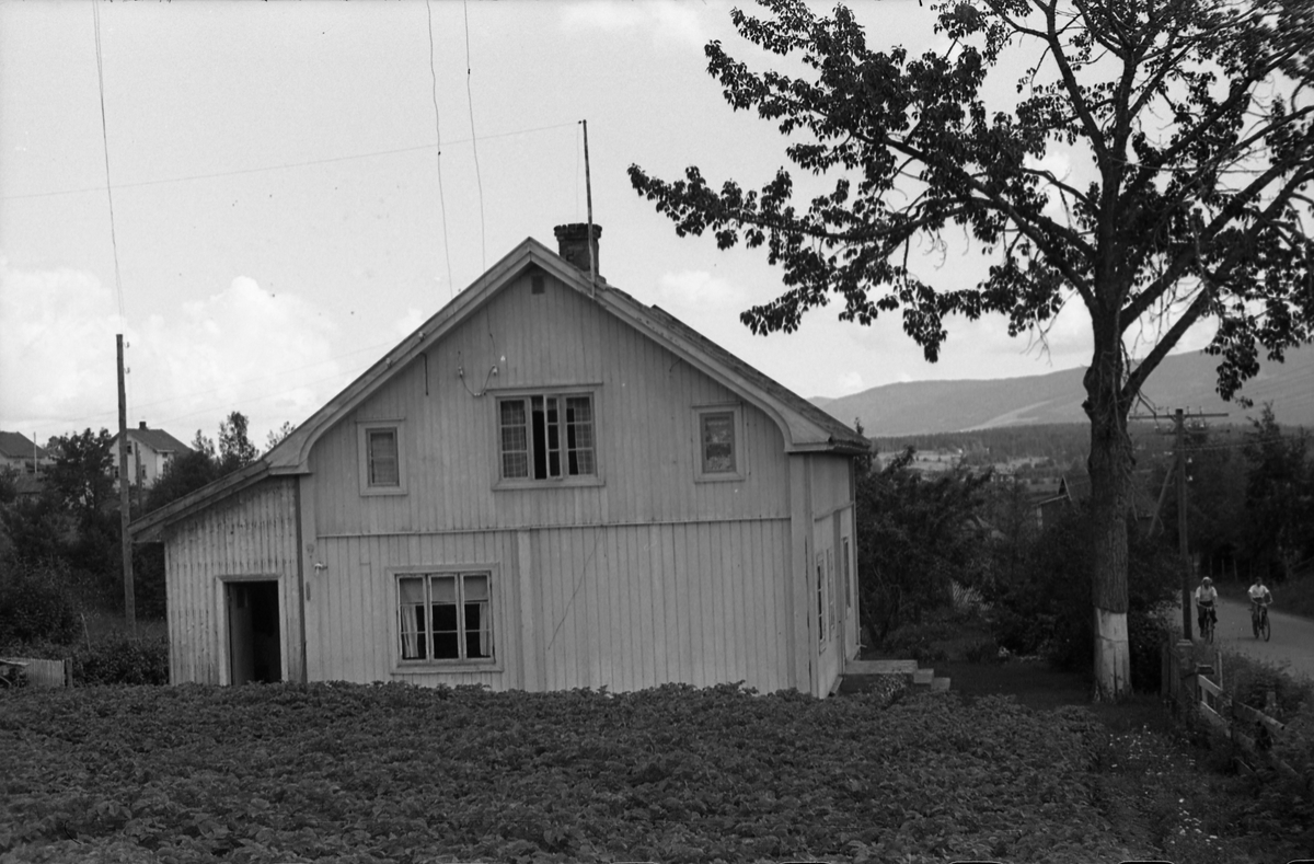 Engeli på Kraby, Østre Toten. Serie på sju bilder. Det første bildet viser våningshuset, likeledes bilde to til fem, men her med to eldre kvinner ved huset. Den ene er Olga Engeli, alene på bildene seks og sju. På bildene to til fem sammen med en annen gammel kvinne som trolig er mora Thea Engeli.