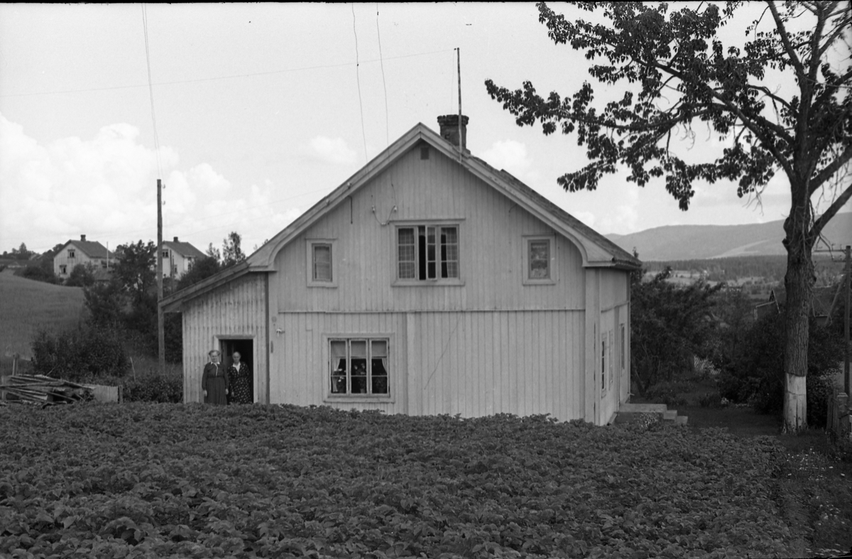 Engeli på Kraby, Østre Toten. Serie på sju bilder. Det første bildet viser våningshuset, likeledes bilde to til fem, men her med to eldre kvinner ved huset. Den ene er Olga Engeli, alene på bildene seks og sju. På bildene to til fem sammen med en annen gammel kvinne som trolig er mora Thea Engeli.