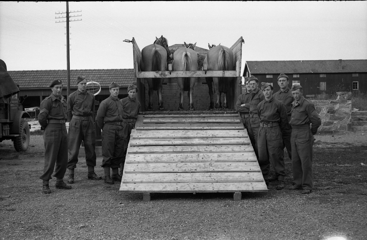 Opplasting av hester på lastebil ved Hærens Hesteskole på Starum september 1948. Serie på 24 bilder. Lengst til venstre på bilde nr. 1 står daværende sersjant Ottar Markeng.
Bildene nr. 1-4 og 17-24 er trolig fra Hoffsvangen, de øvrige fra Starum Leir.
Iflg. informant ble bilder av denne typen brukt til å lage instruksjonshefter/lærebøker til bruk for Hærens hestetjeneste. Se også TMF-4844 og TMF-4864.