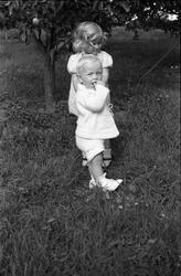 Portrett av to uidentifiserte barn, gutt og jente. Serie på 