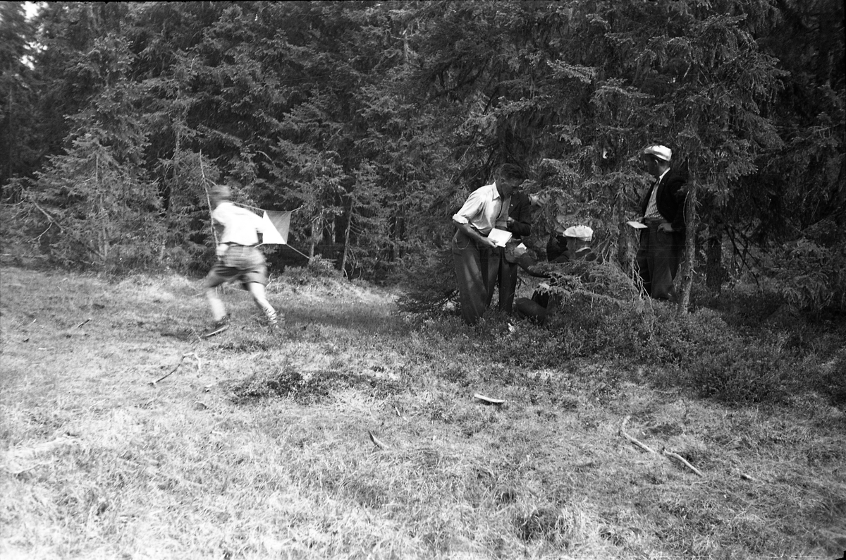 Nasjonalt orienteringsløp i regi av Toten-Troll, Totenåsen 4.juni 1950. Starten gikk ved Brennsætra/Nygard, mens innkomsten var ved Smedsætra. Serie på 20 bilder, noen fra start- og målområdet, noen ute fra løypa.