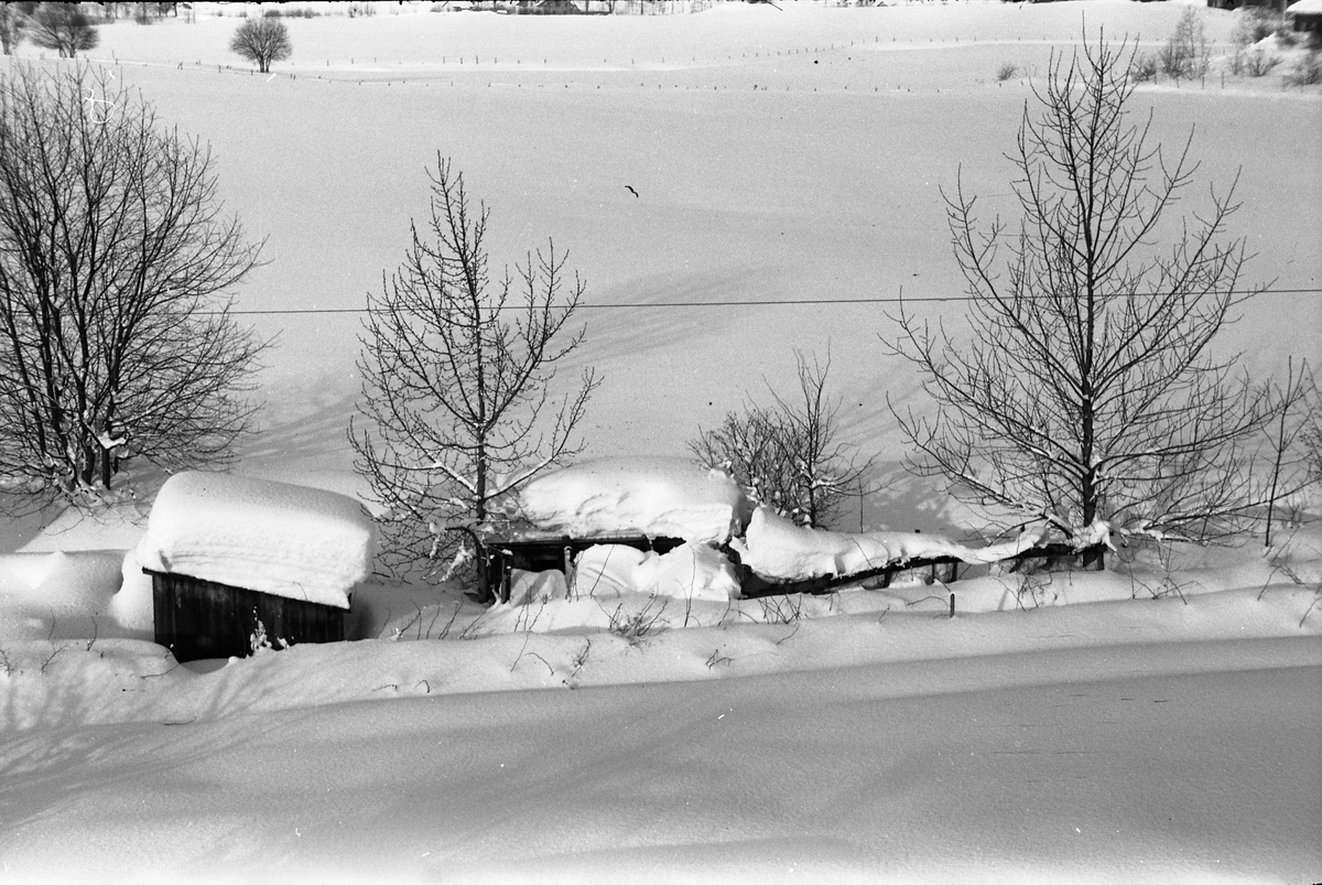 Vintermotiv fra fotografens eiendom Odberg på Kraby, Ø.Toten. Fire bilder.