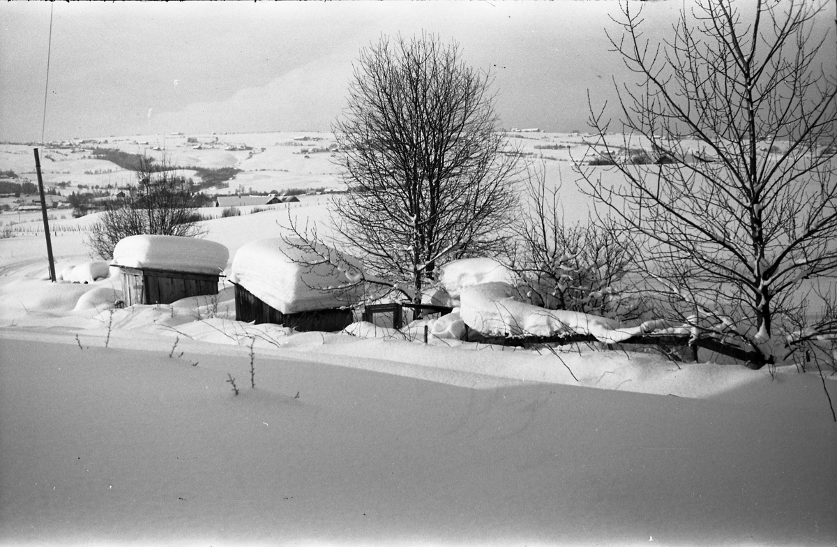 Snøvinteren 1951. Åtte bilder fra fotografens eiendom Odberg på Kraby, Ø.Toten.