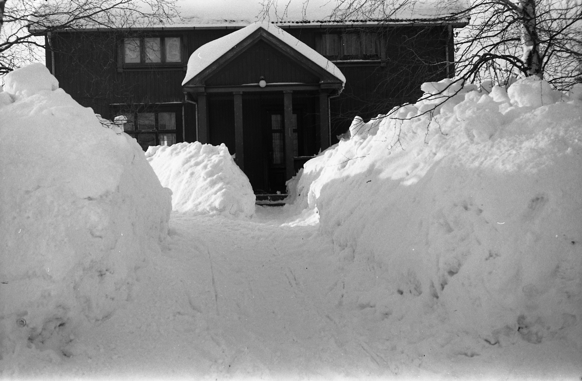 Snøvinteren 1951. Åtte bilder fra fotografens eiendom Odberg på Kraby, Ø.Toten.