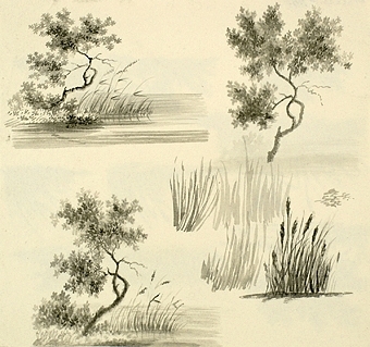 Teckning av olika buskar träd och grästuvor.

Enligt liggaren: 85575:1-189: Christine Zelows ritportfölj.