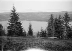 Speiderleir pinsen 1928. Utsikt fra leiren. "Skibladner" på 