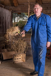 Tresking i Hammervoll-løa med Bjørn Austigard.