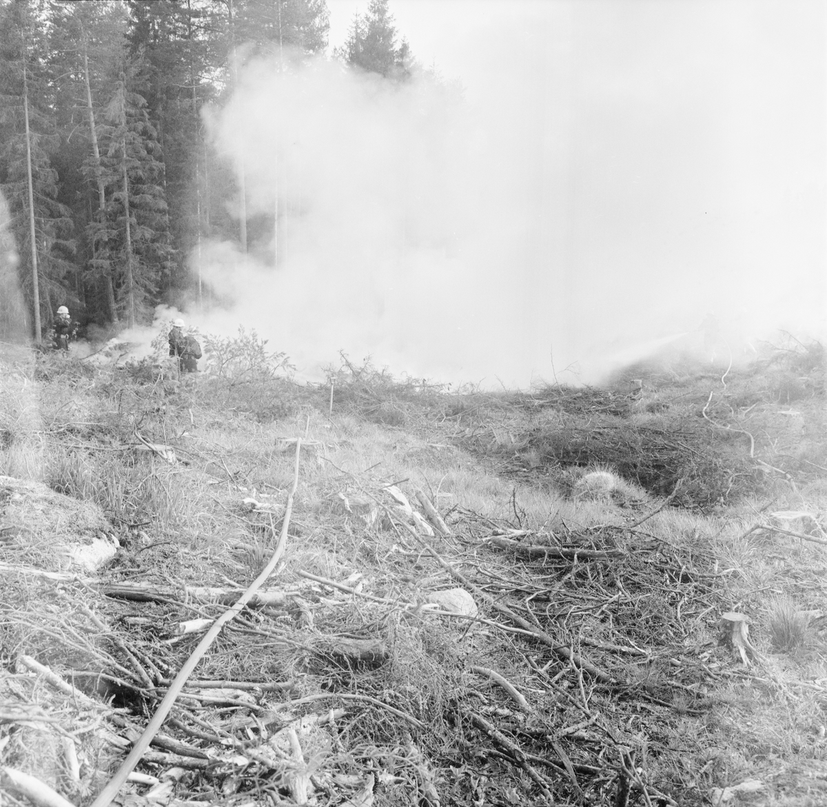 Skogsbrand i Sjukarby, Tolfta socken, Uppland