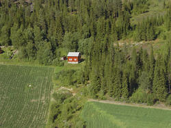 Øyer, Tretten østside, Stavsjordet.  Kulturlandskap, skog, r
