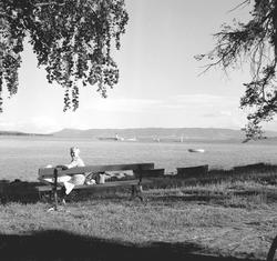 Storhamarstranda ved Ridehuset, Hamar. Kvinne,benk,avis ,Mjø