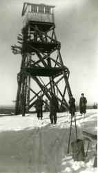 Branntårnet på Lushaugen