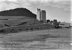 I. C. Piene & Søn i Buvika