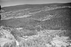 Bruvold (Bruvoll) sag, Hunder, Øyer, 16.07.1959, li, kulturl