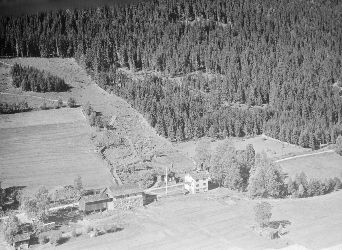 Pålsrud (midt-Pålsrud nordre), Vestsida,Tretten, Øyer, 16.07.1959, li, kulturlandskap, jordbruk, granskog