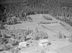 Pålsrud, Vestsida,Tretten, Øyer, 31.07.1959, li, kulturlands