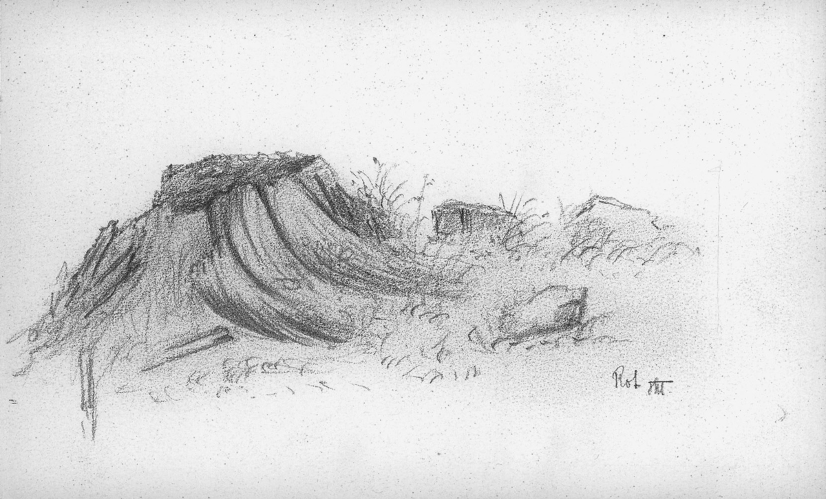 landskap naturskildringer