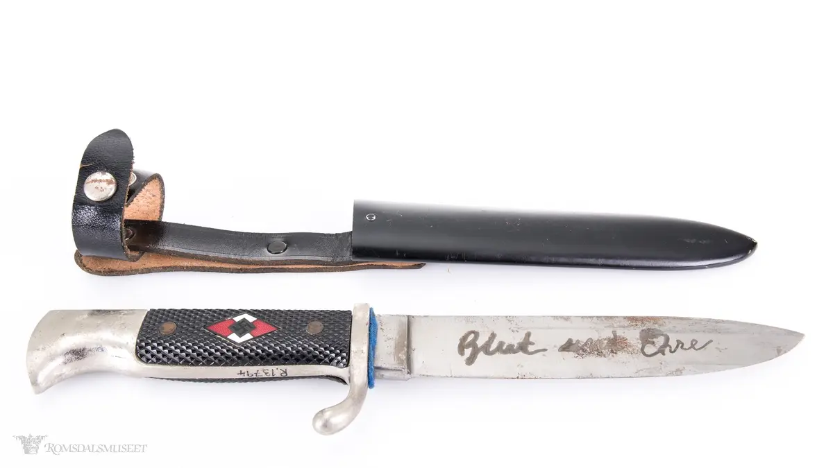 Diamantformet emblem med 2 røde og 2 hvite felter med hakekors i sort på mørk grønn bakgrunn. Scimitar med krone over på bladet.