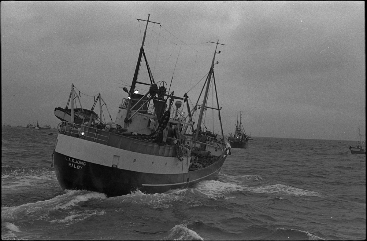 Fiskebåten "L.A. Sjong" fra Måløy ute på sjøen. Den har registreringsnummer SF-1-V.