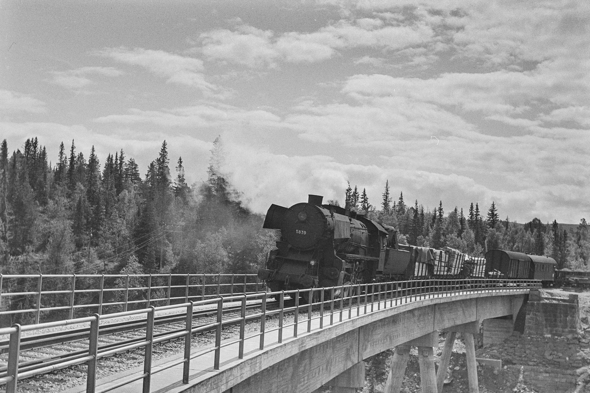 Underveisgodstog fra Hamar til Trondheim på Gaula bro ved Reitan stasjon. Toget trekkes av damplokomotiv type 63a nr. 5839.
