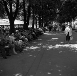 Studenterlunden. 1950 årene.