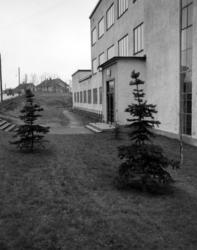 Sinsen Middelskole.September 1949