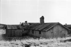 Nysetra setermeieri, Philske sameie, seterbruk på Hedmarken,