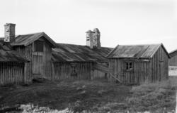 Nysetra setermeieri, Philske sameie, seterbruk på Hedmarken,