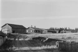 Nysetra, nordre, setermeieri, Philske sameie, seterbruk på H