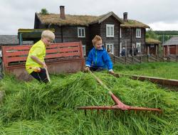 Fra "Fløttdagen" på Dølmotunet 2016, Tolga, Hedmark. Musea i