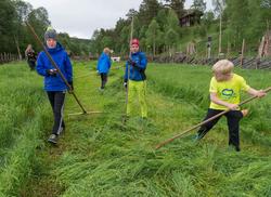 Fra "Fløttdagen" på Dølmotunet 2016, Tolga, Hedmark. Musea i