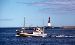 Foto av en fiskebåt med fyrtårnet like utenfor fiskeværet Gr