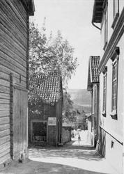 Repro: Gatebilde,  Torggutua (også kalt Thallauggutua), Lill