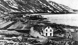 Fiskeværet Kvitnes , fiskeindustri