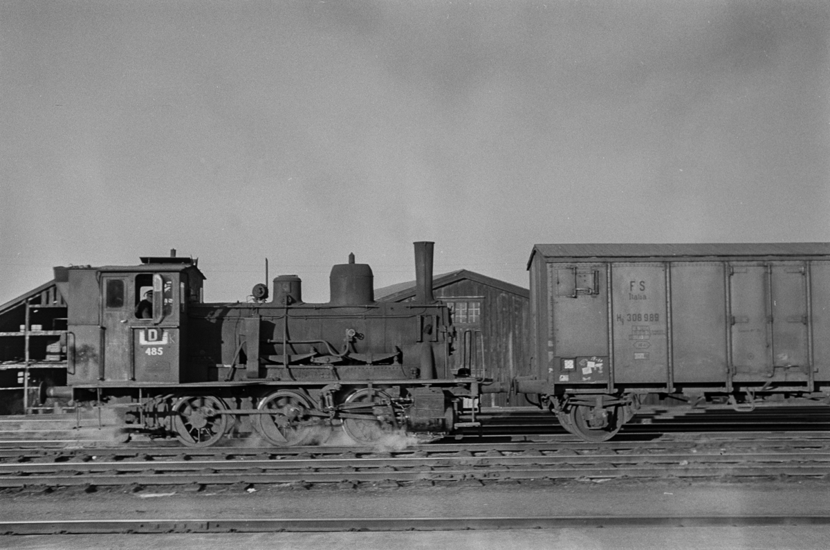 Damplokomotiv type 25e nr. 485 i skiftetjeneste på Trondheim stasjon, koblet sammen med en italiensk kjølevogn.