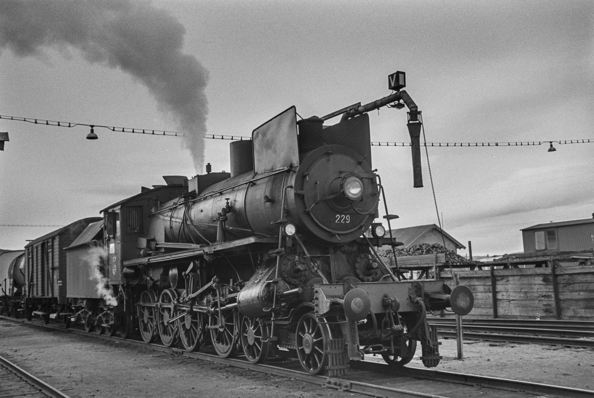 Damplokomotiv type 26b nr. 229 i nordgående godstog på Røros stasjon.