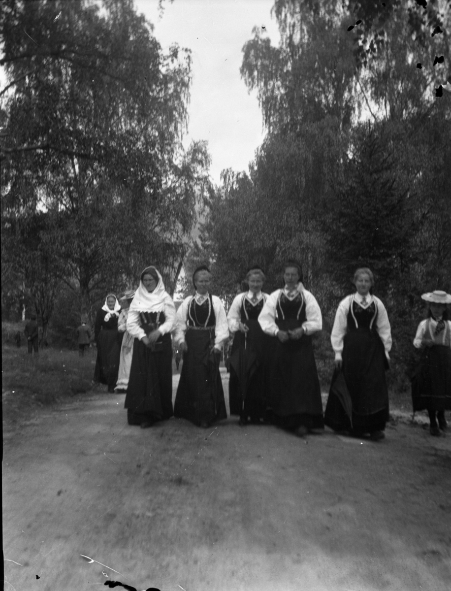 Rikard Berges fotoarkiv. 8 negativer. Gruppe mennesker på fjellet, kvinner i bunader.
Bilde nr. 123.

Fotografier tatt av Rikard Berge. 642 nummer. Samlingen består av negativer bladfilm. Motivene er ført inn i egen protokoll av Berge. Protokollen har tittel "Bilæt-emne"